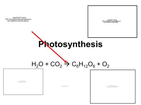 H 2 O + CO 2  C 6 H 12 O 6 + O 2 Photosynthesis.