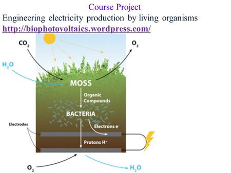 Course Project Engineering electricity production by living organisms http://biophotovoltaics.wordpress.com/