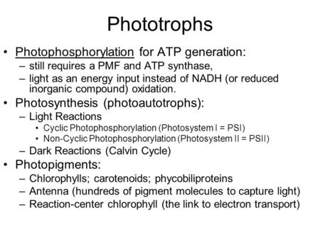 Phototrophs Photophosphorylation for ATP generation: