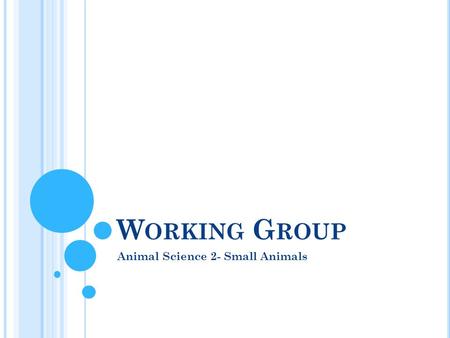 W ORKING G ROUP Animal Science 2- Small Animals. W ORKING G ROUP Perform a service to humans such as pulling sleds, protecting property, doing rescue.