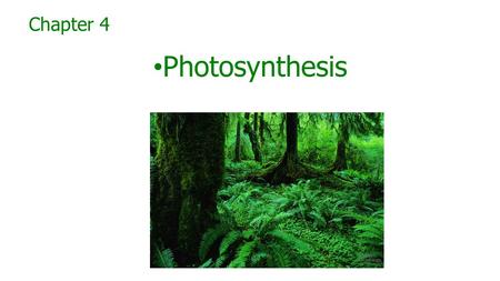 Chapter 4 Photosynthesis. Photosynthesis is the process by which certain organisms use light energy To make sugar and oxygen gas from carbon dioxide and.