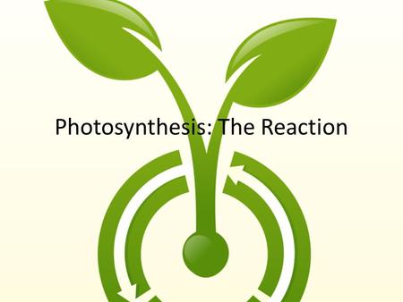 Photosynthesis: The Reaction. Recap…….. 6 CO 2 + 6 H 2 0  C 6 H 12 O 6 + 6 O 2  Q&feature=related.