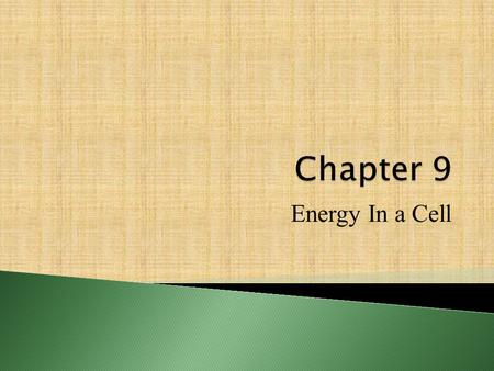 Chapter 9 Energy In a Cell.