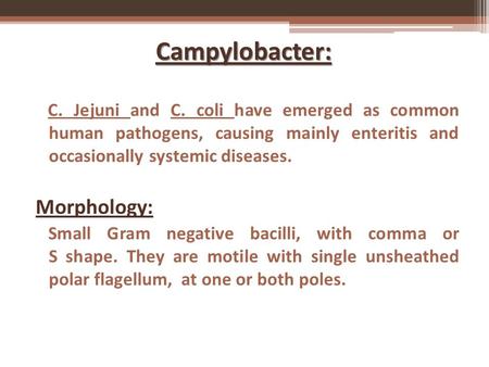 Campylobacter: C. Jejuni and C. coli have emerged as common human pathogens, causing mainly enteritis and occasionally systemic diseases. Morphology: Small.