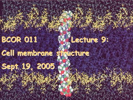 BCOR 011			 Lecture 9: Cell membrane structure Sept 19, 2005.