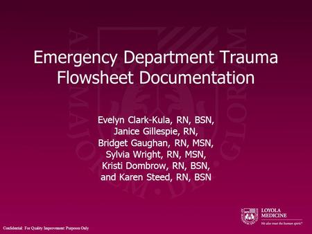 Emergency Department Trauma Flowsheet Documentation Evelyn Clark-Kula, RN, BSN, Janice Gillespie, RN, Bridget Gaughan, RN, MSN, Sylvia Wright, RN, MSN,