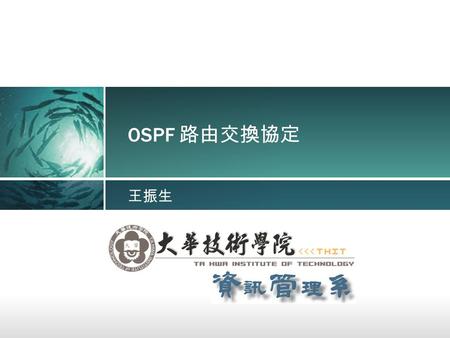 OSPF 路由交換協定 王振生.