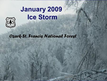 January 2009 Ice Storm Ozark-St. Francis National Forest.