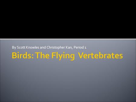 Birds: The Flying Vertebrates By Scott Knowles and Christopher Kan, Period 1.