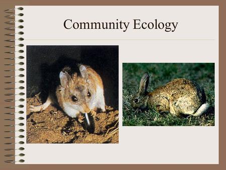 Community Ecology Definitions to Know Population – Community -