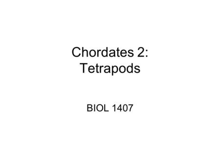 Chordates 2: Tetrapods BIOL 1407. Amphibians Tetrapods Moist skin External Fertilization Eggs need water.