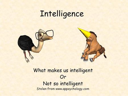 Intelligence What makes us intelligent Or Not so intelligent