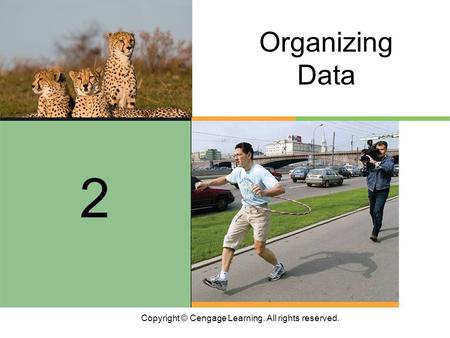Copyright © Cengage Learning. All rights reserved. 2 Organizing Data.