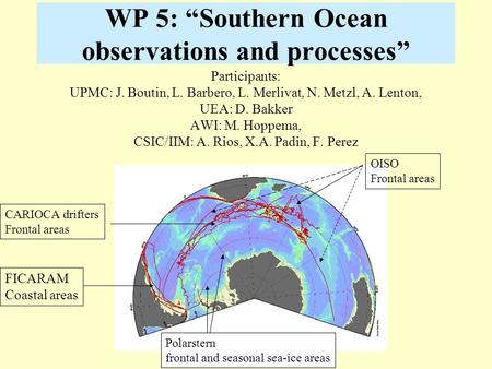 WP 5: “Southern Ocean observations and processes”