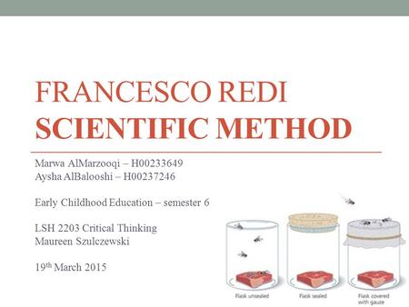 Francesco Redi Scientific Method