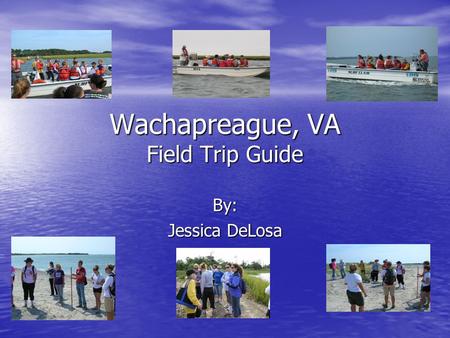 Wachapreague, VA Field Trip Guide By: Jessica DeLosa.