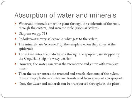 Absorption of water and minerals Water and minerals enter the plant through the epidermis of the root, through the cortex, and into the stele (vascular.