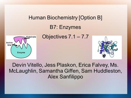 Human Biochemistry [Option B] B7: Enzymes Objectives 7.1 – 7.7 Devin Vitello, Jess Plaskon, Erica Falvey, Ms. McLaughlin, Samantha Giffen, Sam Huddleston,