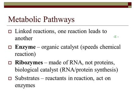 Metabolic Pathways  Linked reactions, one reaction leads to another  Enzyme – organic catalyst (speeds chemical reaction)  Ribozymes – made of RNA,