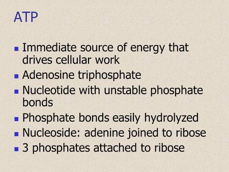 ATP Immediate source of energy that drives cellular work Adenosine triphosphate Nucleotide with unstable phosphate bonds Phosphate bonds easily hydrolyzed.