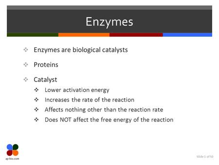 Slide 1 of 50 Enzymes  Enzymes are biological catalysts  Proteins  Catalyst  Lower activation energy  Increases the rate of the reaction  Affects.