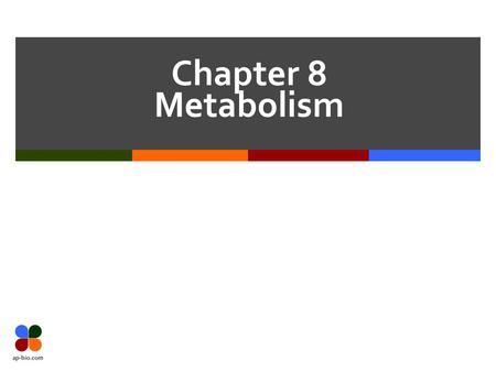 Chapter 8 Metabolism. Slide 2 of 23 Overview  Cell is a CHM factory  Macromolecules are made and broken down  Cellular Respiration powers the factory.