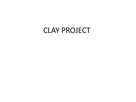 CLAY PROJECT.