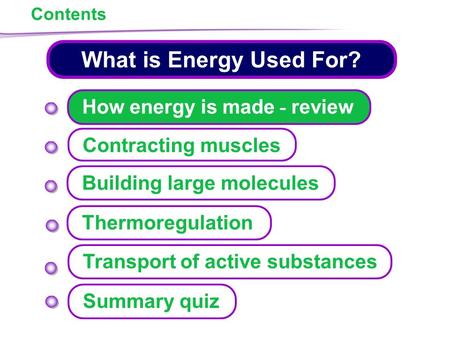 1 of 36 Contents What is Energy Used For? Contracting muscles Transport of active substances Thermoregulation How energy is made - review Building large.