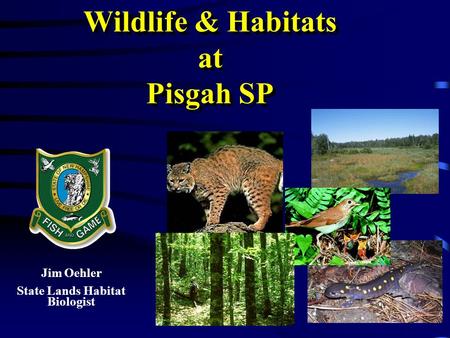 Jim Oehler State Lands Habitat Biologist Wildlife & Habitats at Pisgah SP.