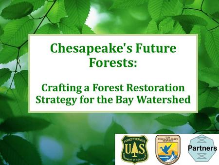 Chesapeake's Future Forests: Crafting a Forest Restoration Strategy for the Bay Watershed Partners.