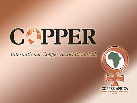 The Copper Development Association Africa SECOND-HAND GOODS BILL Oral Submission John Cross Greg Hoets.