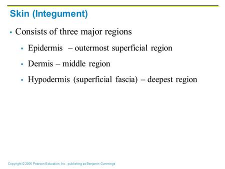 Consists of three major regions