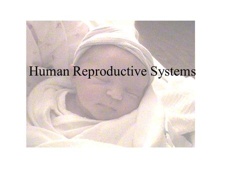 Human Reproductive Systems