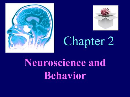 Chapter 2 Neuroscience and Behavior. Neural Communication Biological/neuroscience Psychology –branch of psychology concerned with the links between biology.