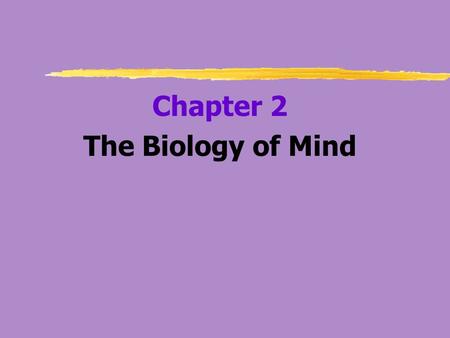 Chapter 2 The Biology of Mind.