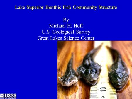 Lake Superior Benthic Fish Community Structure By Michael H. Hoff U.S. Geological Survey Great Lakes Science Center.