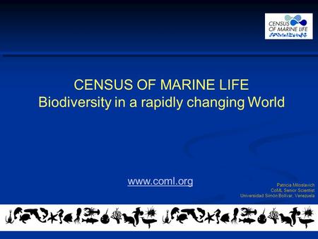 CENSUS OF MARINE LIFE Biodiversity in a rapidly changing World Patricia Miloslavich CoML Senior Scientist Universidad Simón Bolívar, Venezuela www.coml.org.