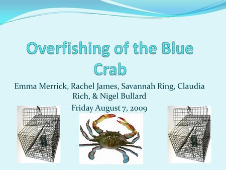 Emma Merrick, Rachel James, Savannah Ring, Claudia Rich, & Nigel Bullard Friday August 7, 2009.