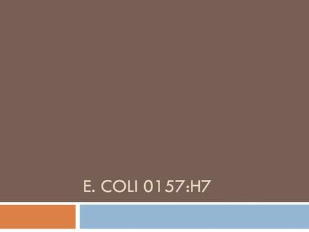 E. COLI 0157:H7. E.Coli 0157:H7  It is one of the hundreds of strains of the bacterium Escherichia coli  This strain produces a powerful toxin and can.