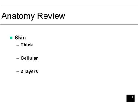 1 Anatomy Review Skin –Thick –Cellular –2 layers.