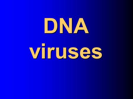 DNA viruses.