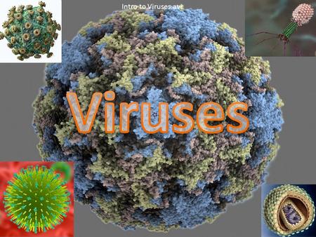 Intro to Viruses.avi. NNon-living particles CCan only reproduce by infecting living (host) cells GGenome is made of either DNA or RNA TToo small.