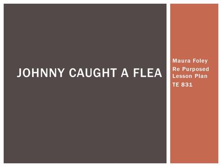 Maura Foley Re Purposed Lesson Plan TE 831 JOHNNY CAUGHT A FLEA.