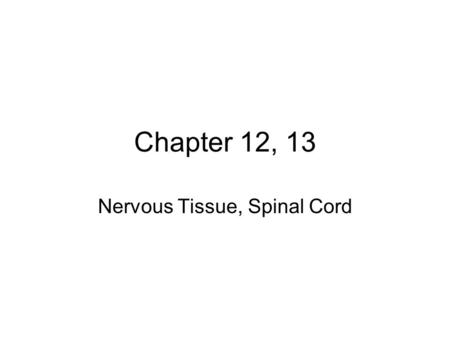 Chapter 12, 13 Nervous Tissue, Spinal Cord. Divisions of NS 1.CNS-central nervous system A.Brain B.Spinal Cord 2.PNS-peripheral nervous system- primarily.