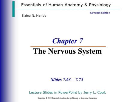 Essentials of Human Anatomy & Physiology Copyright © 2003 Pearson Education, Inc. publishing as Benjamin Cummings Slides 7.63 – 7.75 Seventh Edition Elaine.
