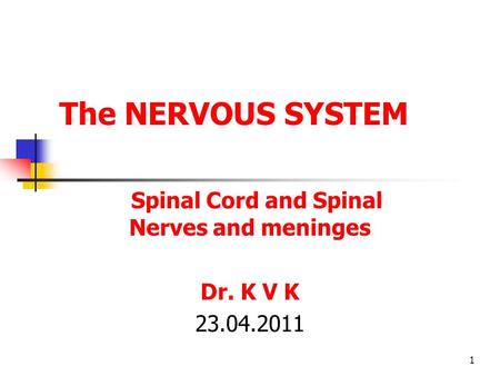 1 The NERVOUS SYSTEM Spinal Cord and Spinal Nerves and meninges Dr. K V K 23.04.2011.