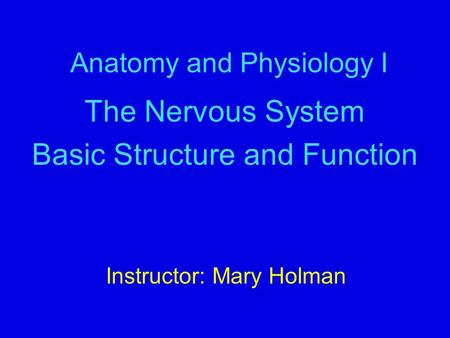 Anatomy and Physiology I The Nervous System Basic Structure and Function Instructor: Mary Holman.