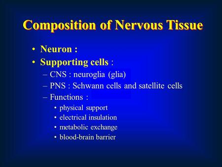 Neuron : Supporting cells : –CNS : neuroglia (glia) –PNS : Schwann cells and satellite cells –Functions : physical support electrical insulation metabolic.