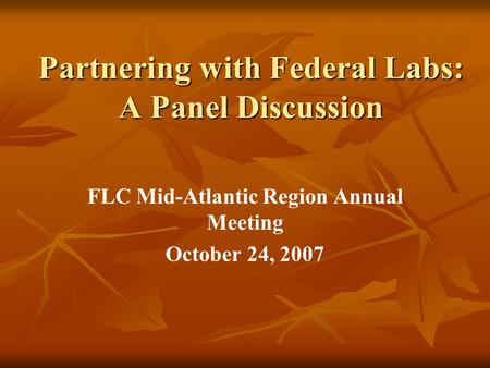 Partnering with Federal Labs: A Panel Discussion FLC Mid-Atlantic Region Annual Meeting October 24, 2007.