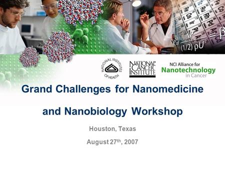 Grand Challenges for Nanomedicine and Nanobiology Workshop Houston, Texas August 27 th, 2007.